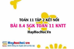 Bài 8.4 SGK Toán 11 Tập 2 Kết nối tri thức